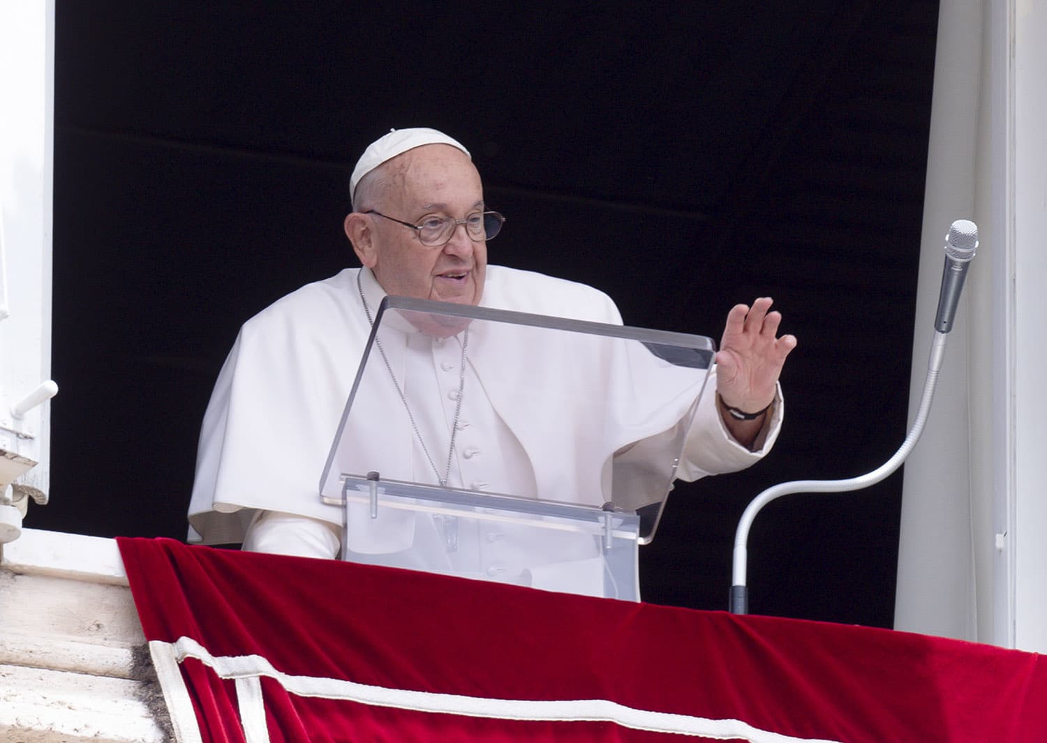 POPE FRANCIS ANGELUS FREEDOM