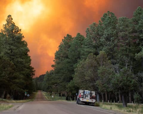 NEW MEXICO WILDFIRES