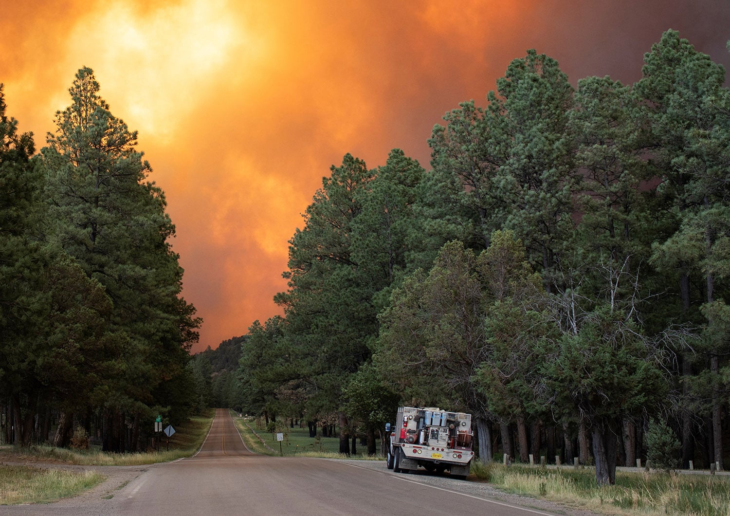 NEW MEXICO WILDFIRES