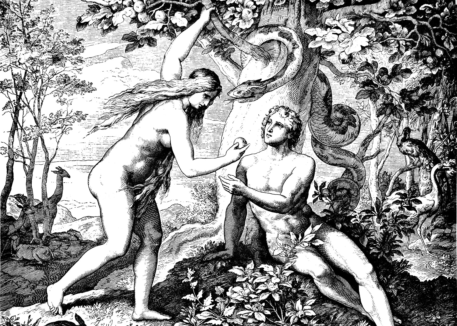 Adam and Eve