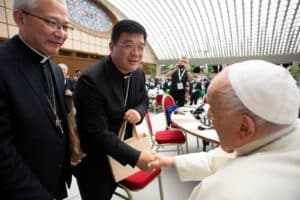 POPE FRANCIS AND CHINESE BISHOPS